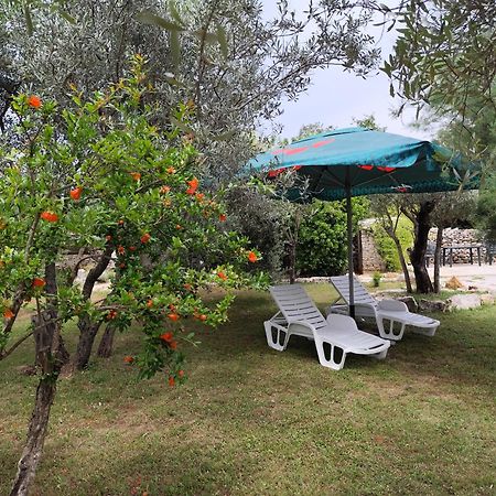 Appartement Marti'S House In The Olive Grove à Fažana Extérieur photo