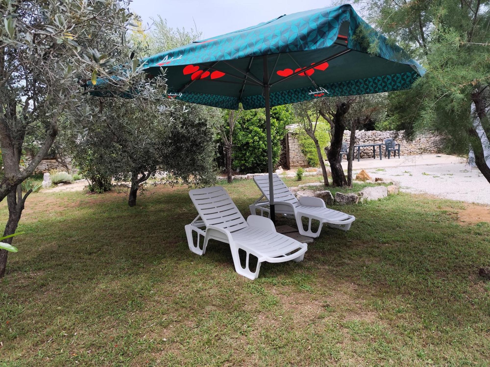 Appartement Marti'S House In The Olive Grove à Fažana Extérieur photo