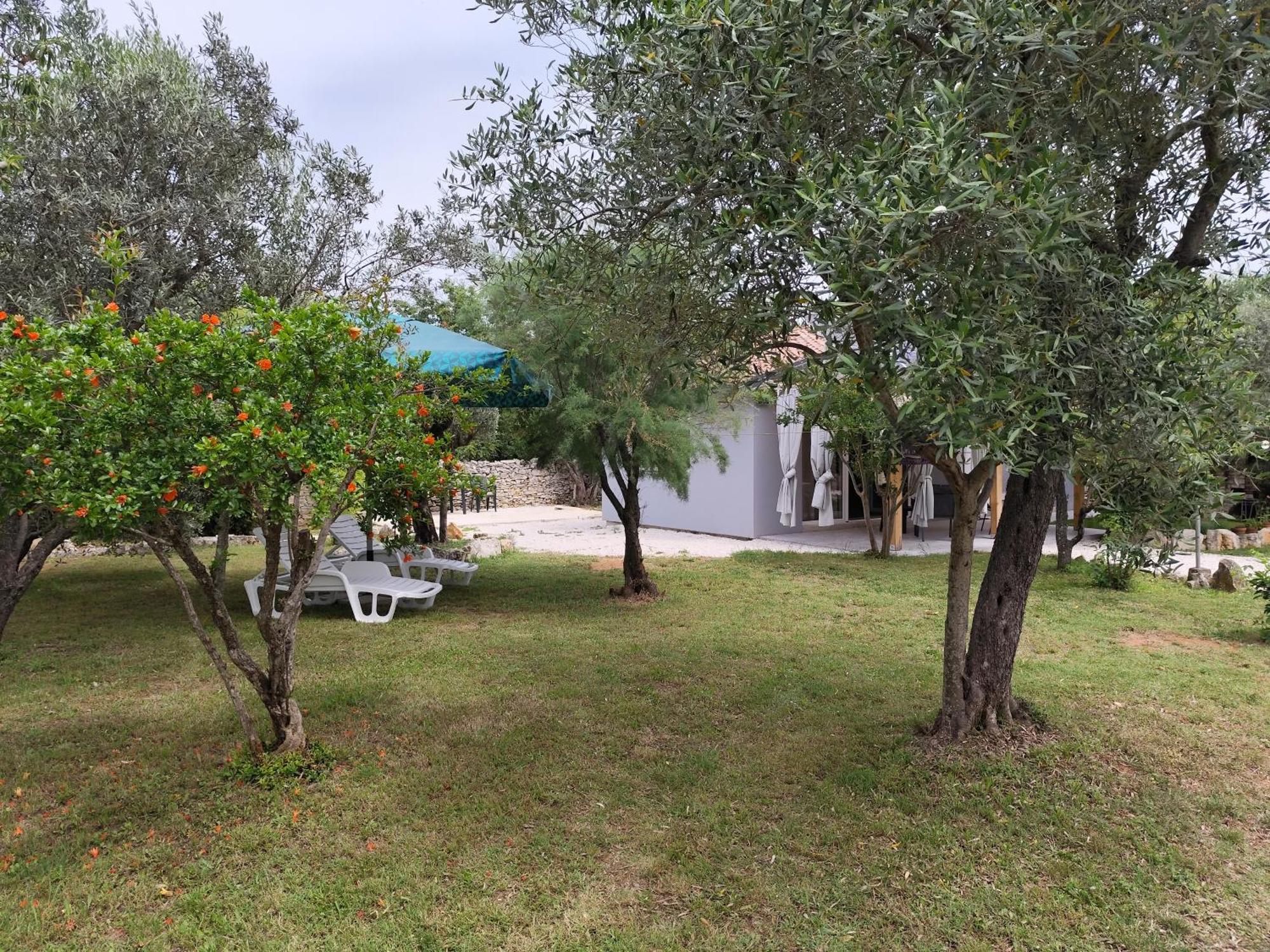 Appartement Marti'S House In The Olive Grove à Fažana Extérieur photo